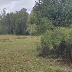 20250913_113206.jpg