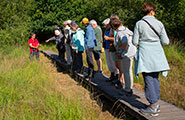2025_08_03_Heidewandeling