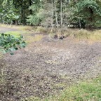 IMG20250904124228.jpg