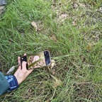 foto05.JPG