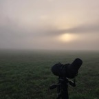 foto1.jpg
